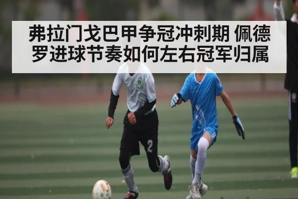 弗拉门戈巴甲争冠冲刺期 佩德罗进球节奏如何左右冠军归属